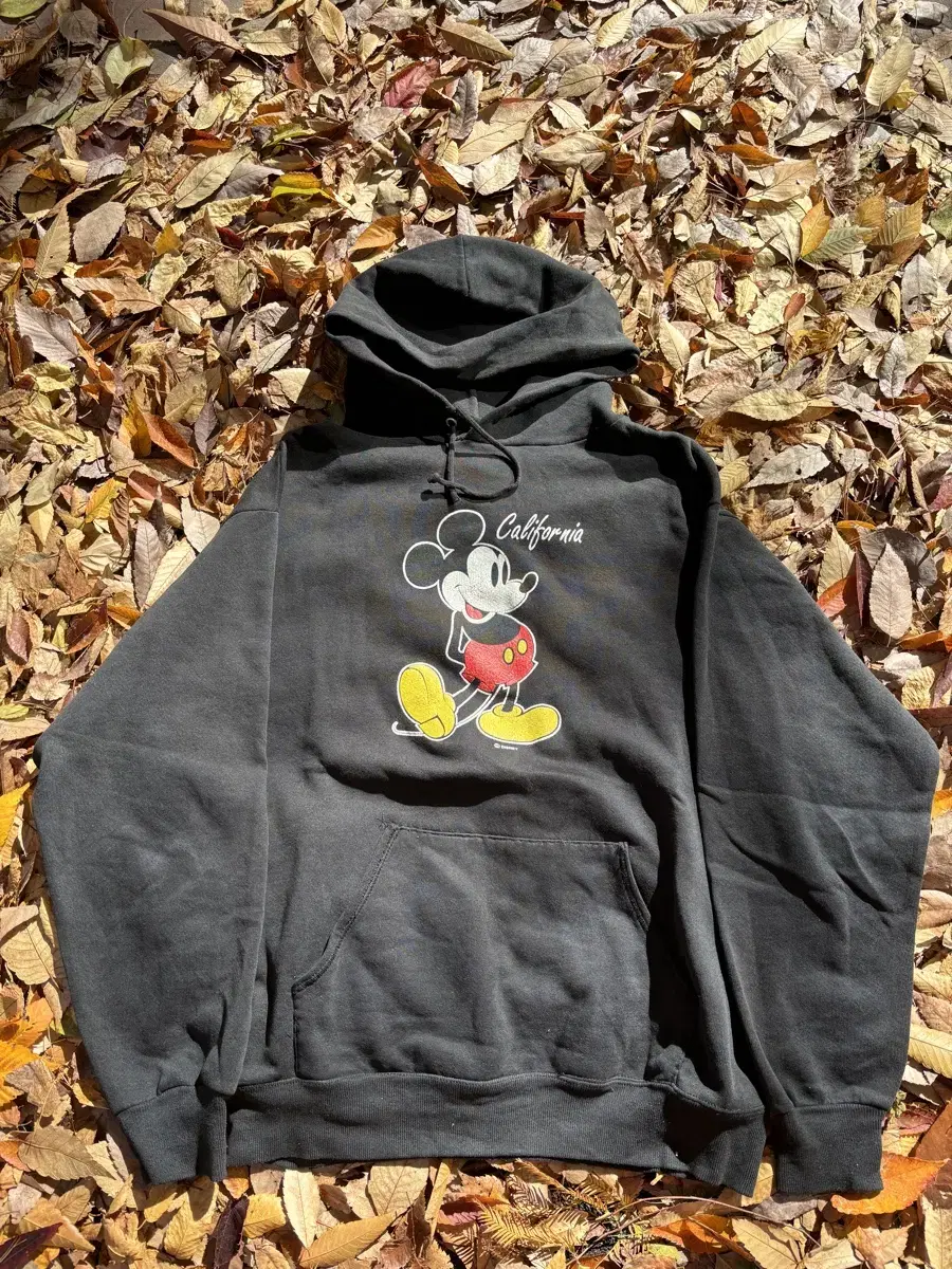 Mickey Mouse Hoodie in Belle Basin