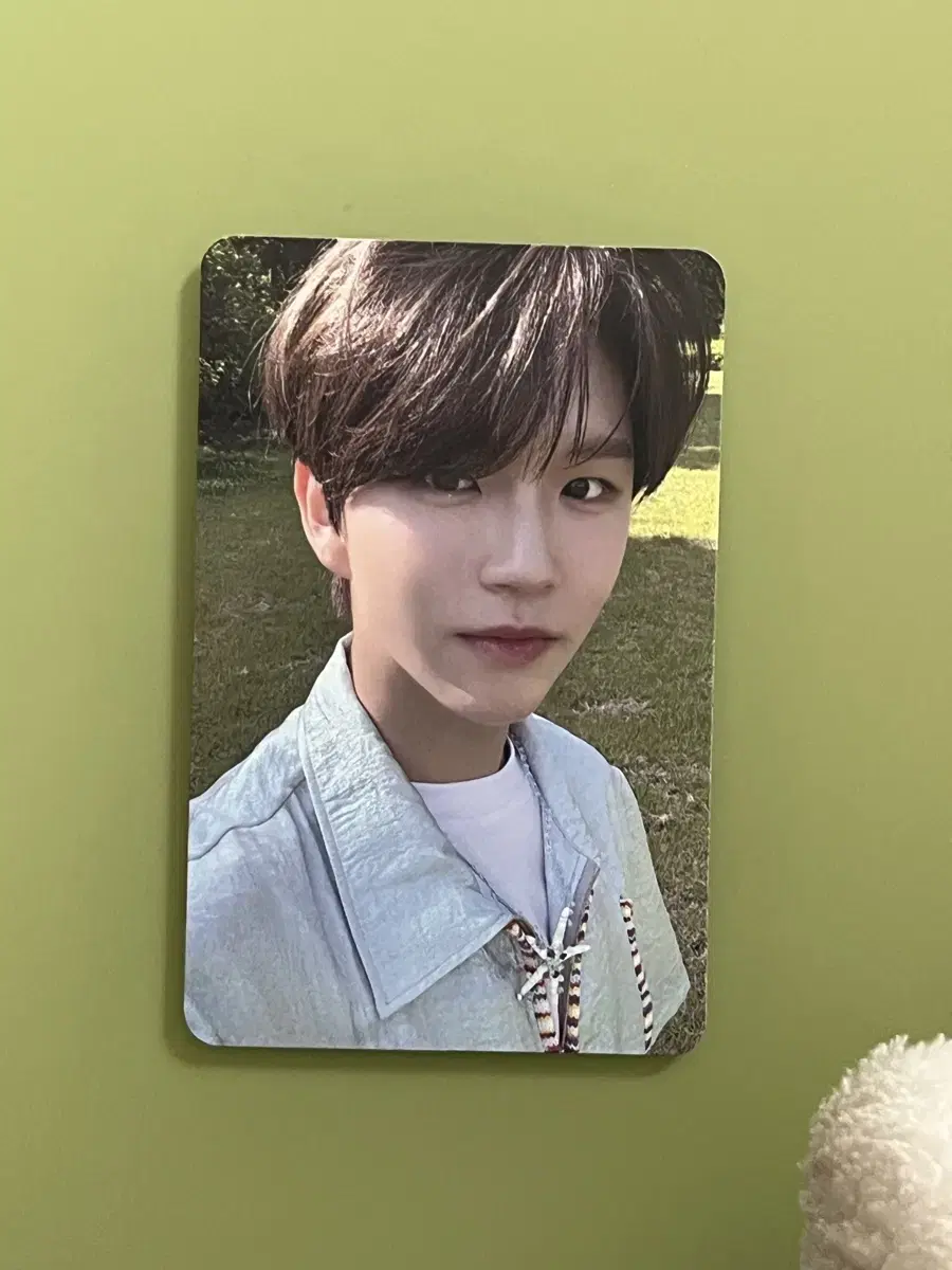 NCT wish Jaehee Songbird Photocard