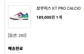 데스포르치 상루이스 KT PRO CALCIO