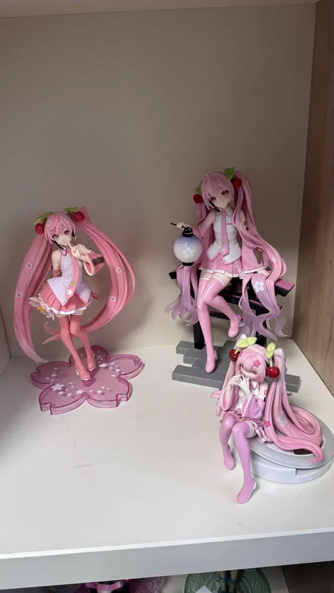 We sell 3 types of Sakura Miku