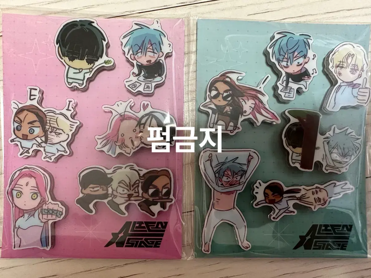 Aster acrylic Magnet Set sealed WTS