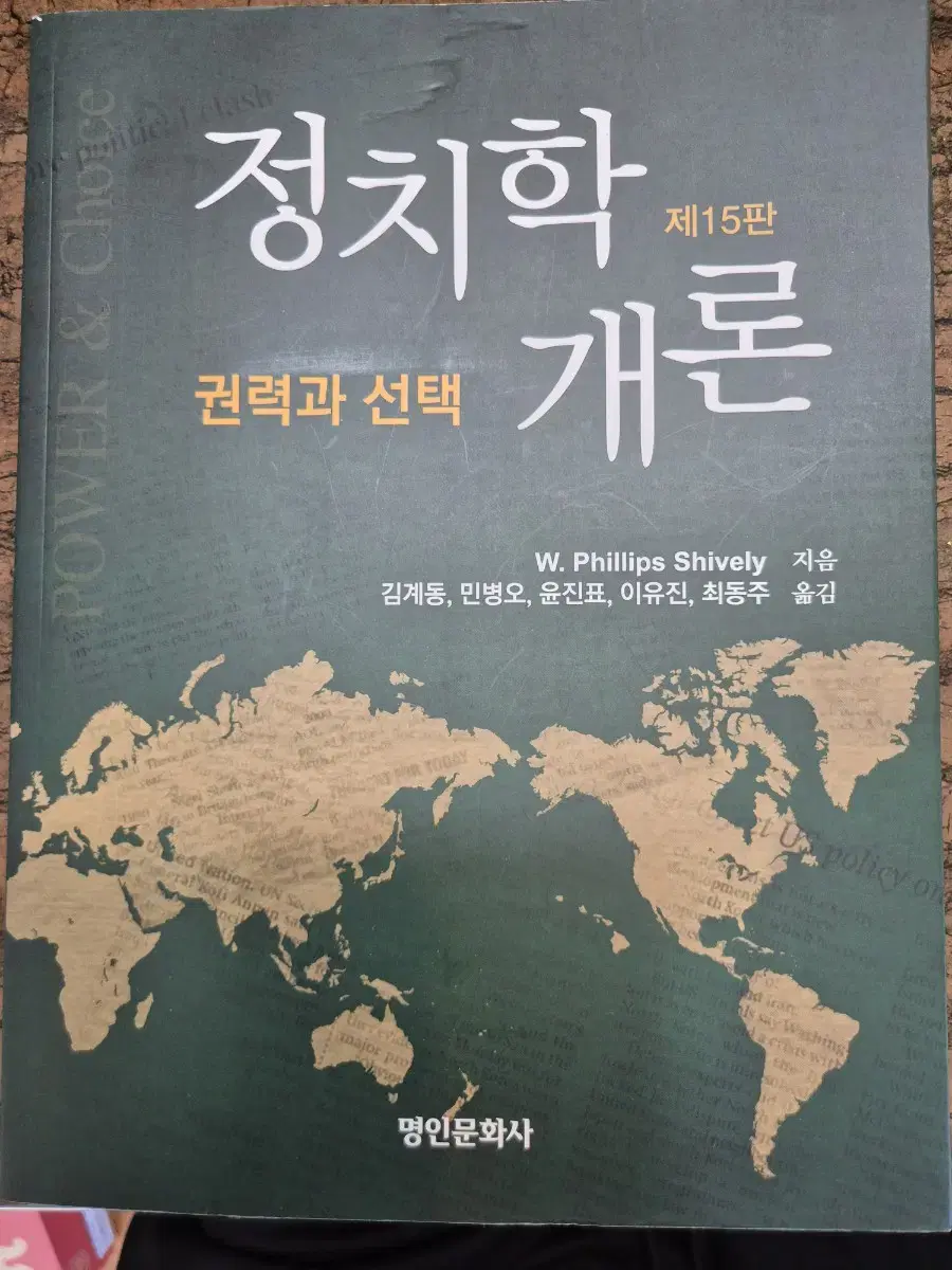 정치학개론(명인문화사)