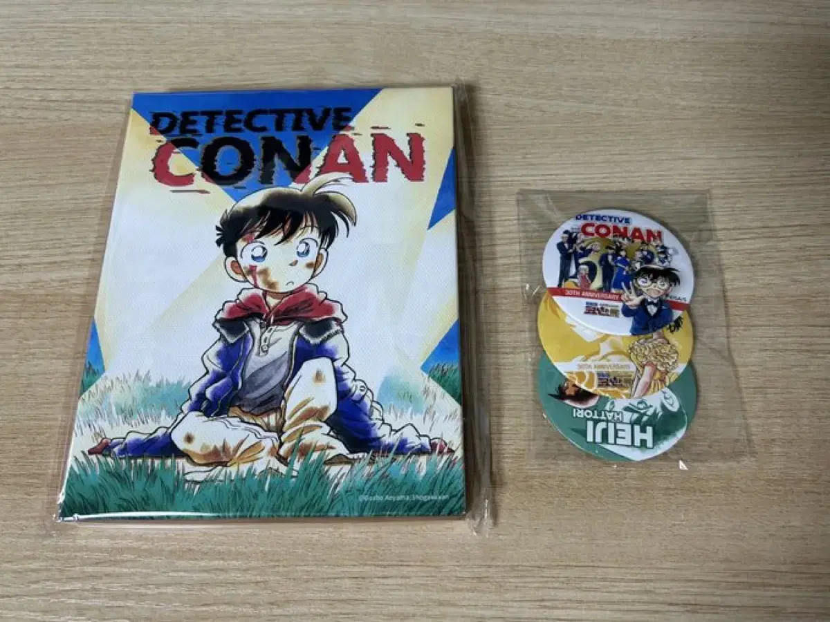 Detective Conan 30th Anniversary Exhibition Canvas B version pre-order benefit e.ji kazuha Badge unsealed