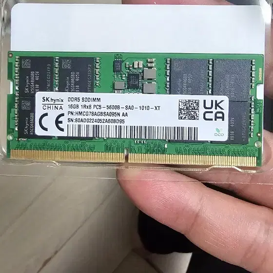 하이닉스 ddr5 16gb 5600램 1개