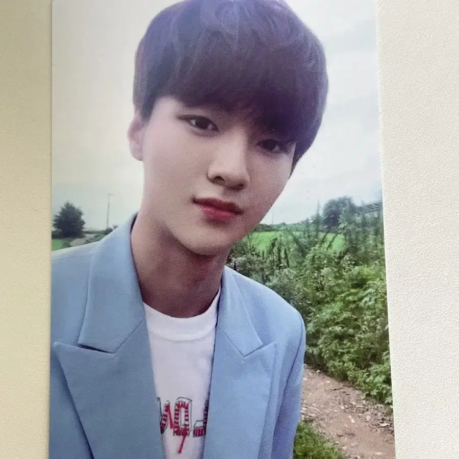 드리핀 차준호 포카