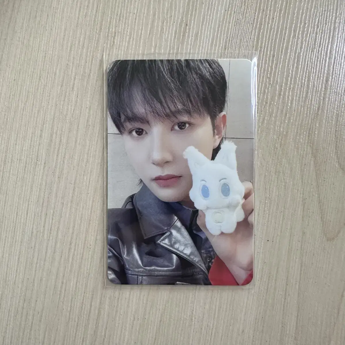 NCT renjun Injeolmi photocard WTS