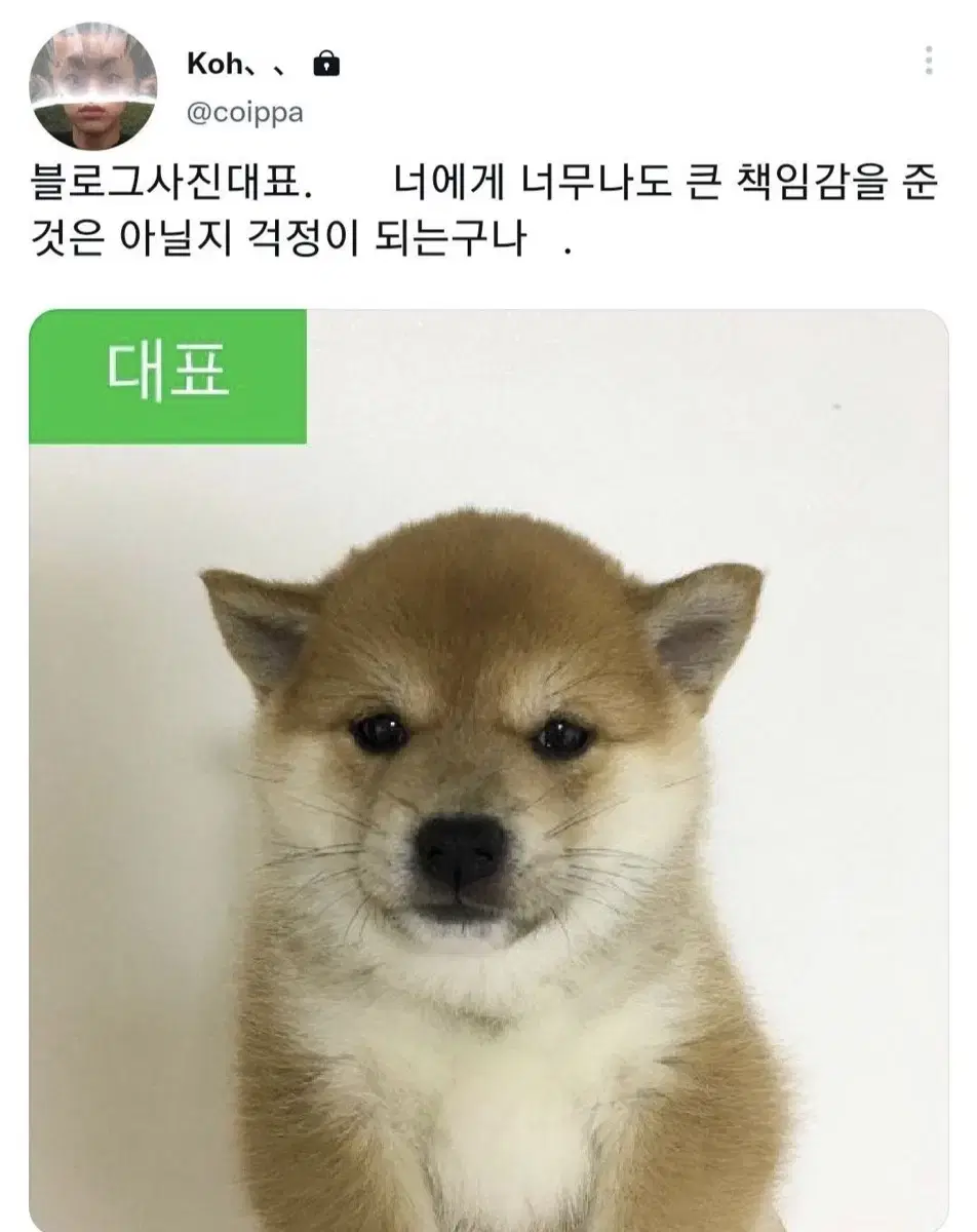 (미개봉) 가비지타임 성준수 인형 준수냥이 판매합니다!