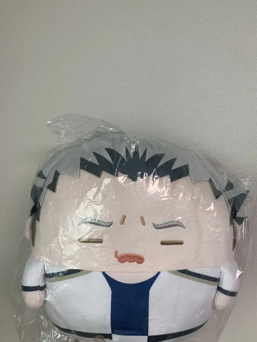 Haikyuu Bokuto special Fuwakororing Big Fuwakororing Unsealed