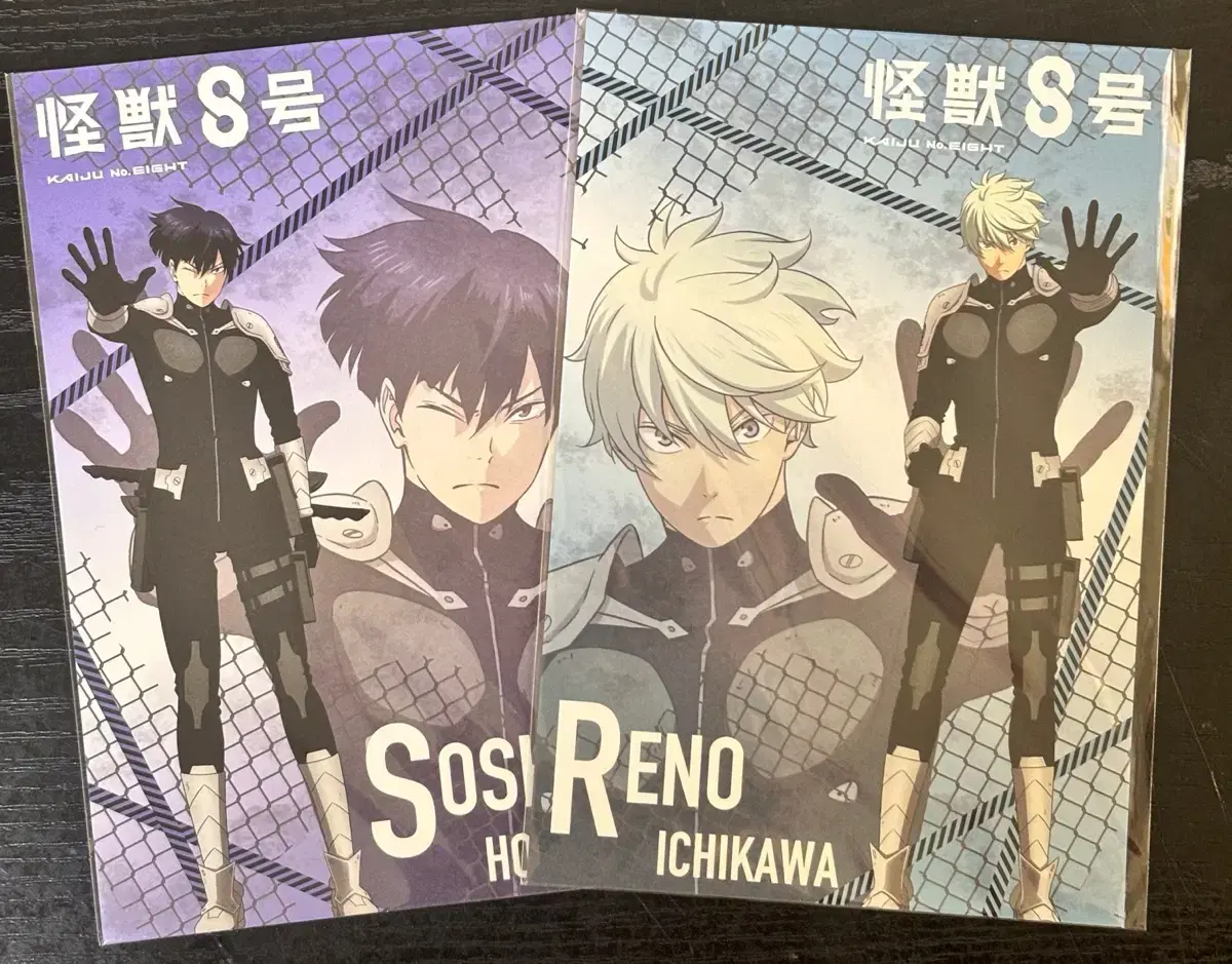 Kaiju No. 8 Hoshina Reno Postcard