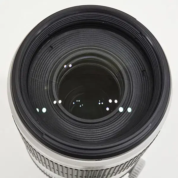 캐논EF 100-400mm 1:4.5-5.6 L IS II USM 백사투