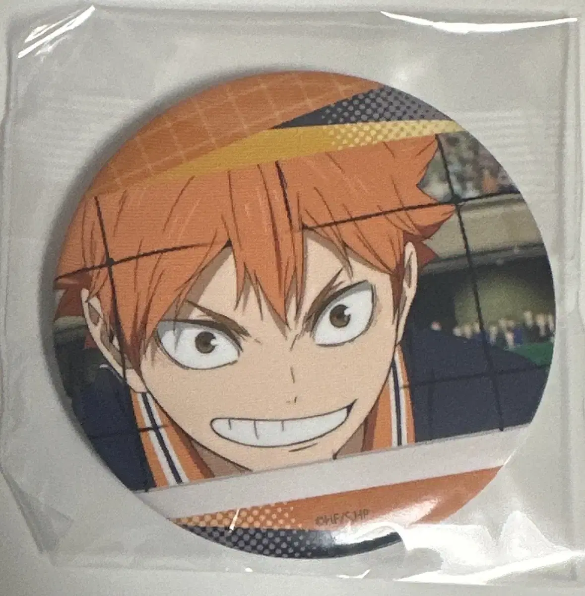 Haikyuu TsuDecision Canbadge hinata WTS