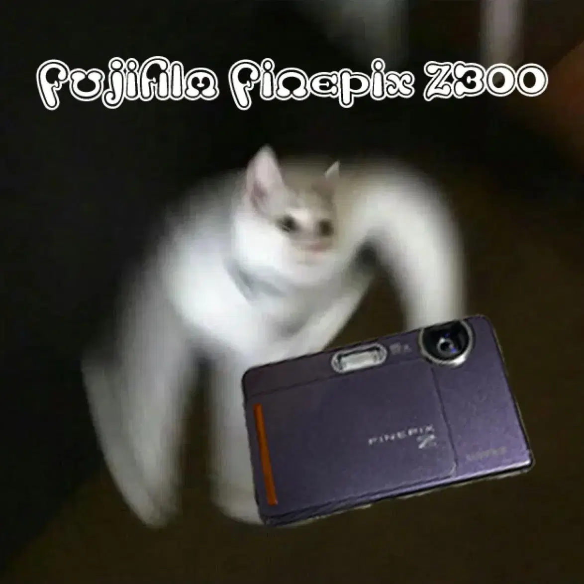 Fujifilm finepix z300 디카 박풀 빈티지 디카