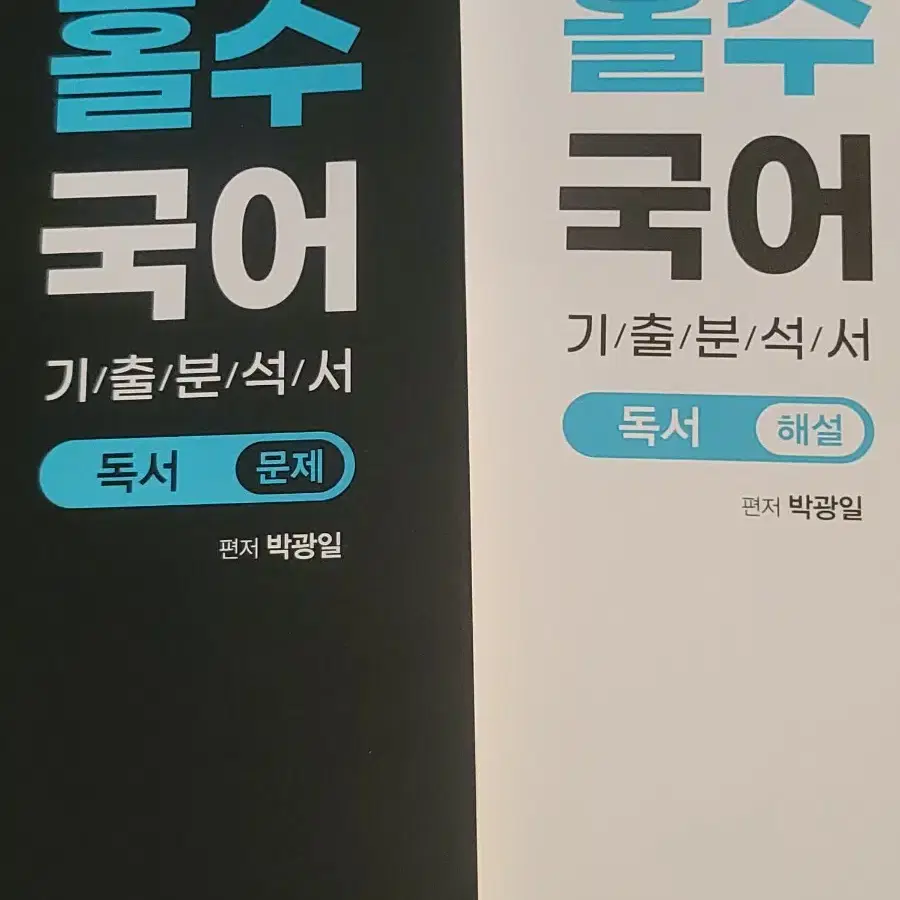 2025 홀수 국어 독서 문학