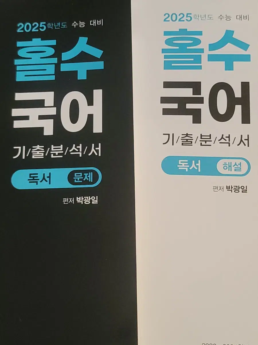 2025 홀수 국어 독서 문학