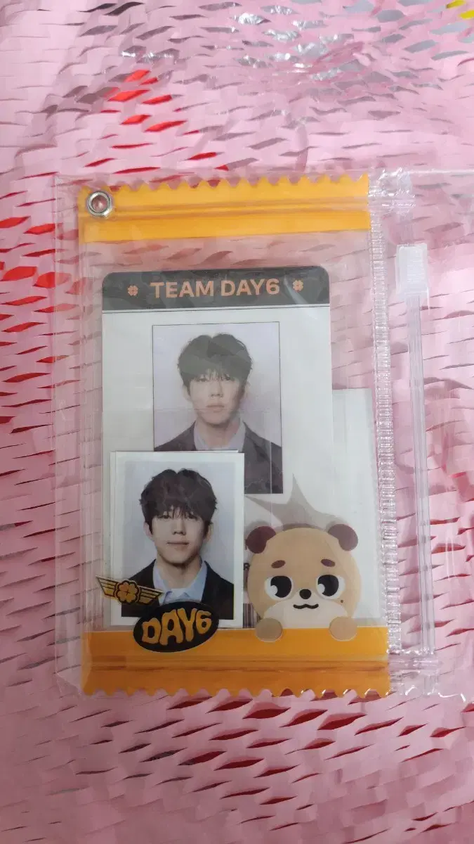 Day 6 Denimals License ID Card Photoset Proof Photo Helped