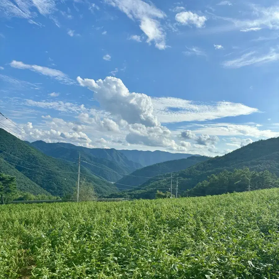 드론 촬영 합니다.