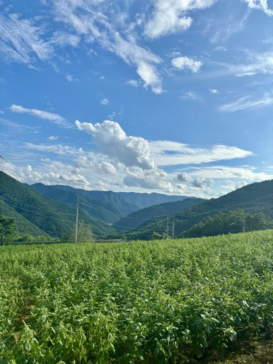 드론 촬영 합니다.