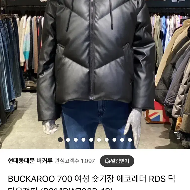 BUCKAROO 여성 숏기장 에코레더 RDS 패딩