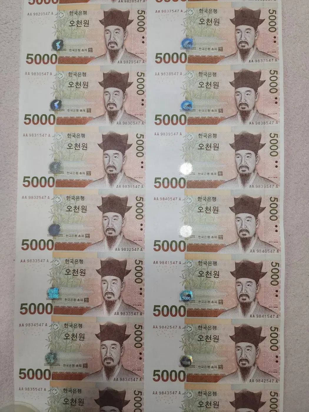 2021년 5000원 연결전지 은행권16면부