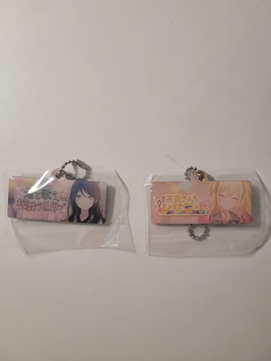 Prosecca Metal Keyring Saki Ichika