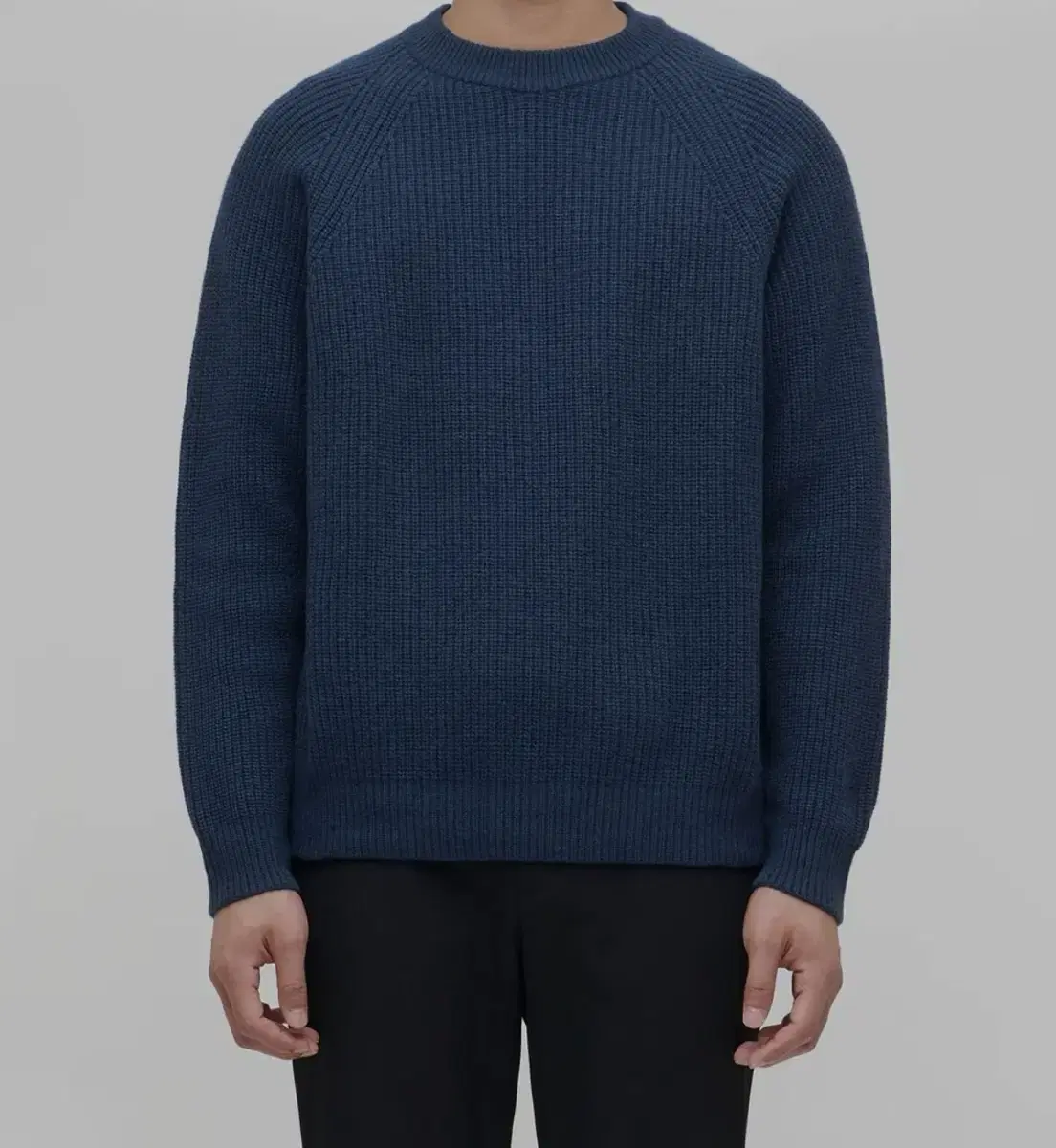 Plain Cashmere Blend Ribbed Crew Neck Knit in Bloo