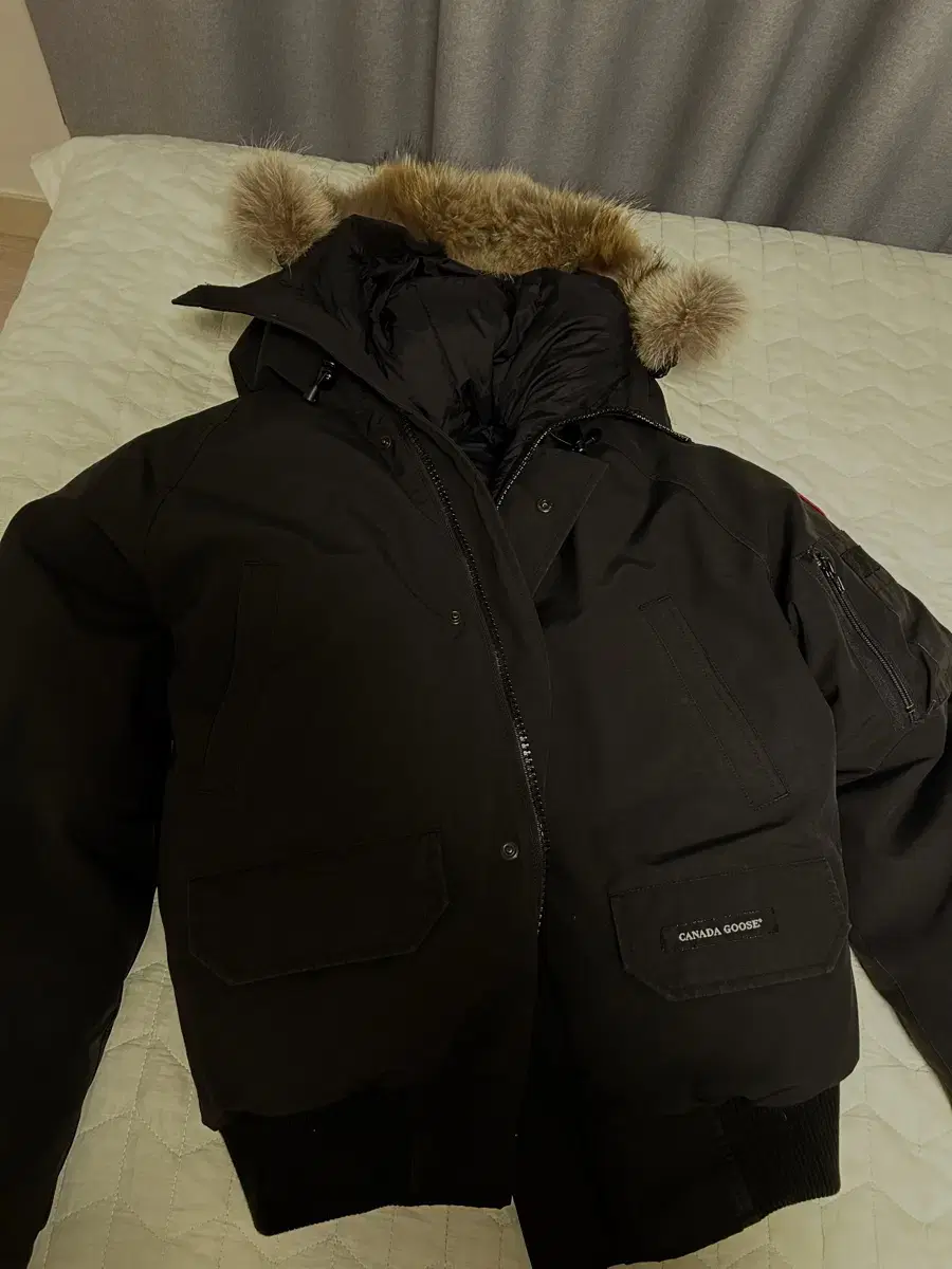 Canada Goose Chilliwack M (Genuine)