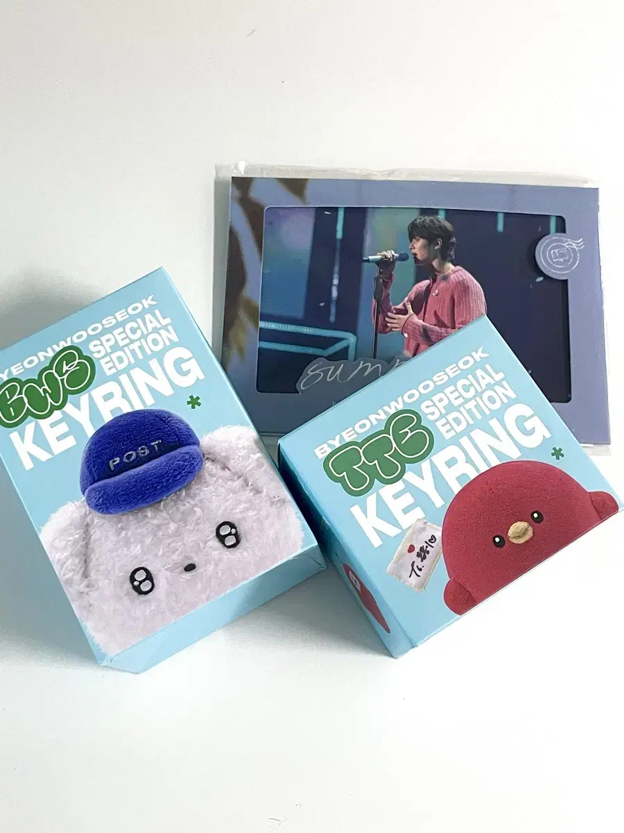 [Unsealed, original price transfer]Byun Wooseok special Edition keyring Set