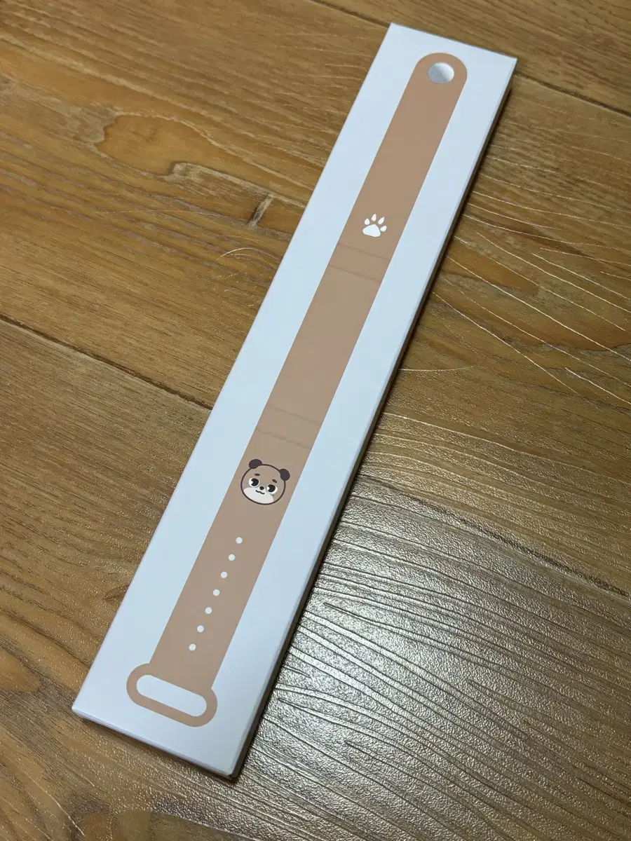 Day 6 lightstick madewatch strap money