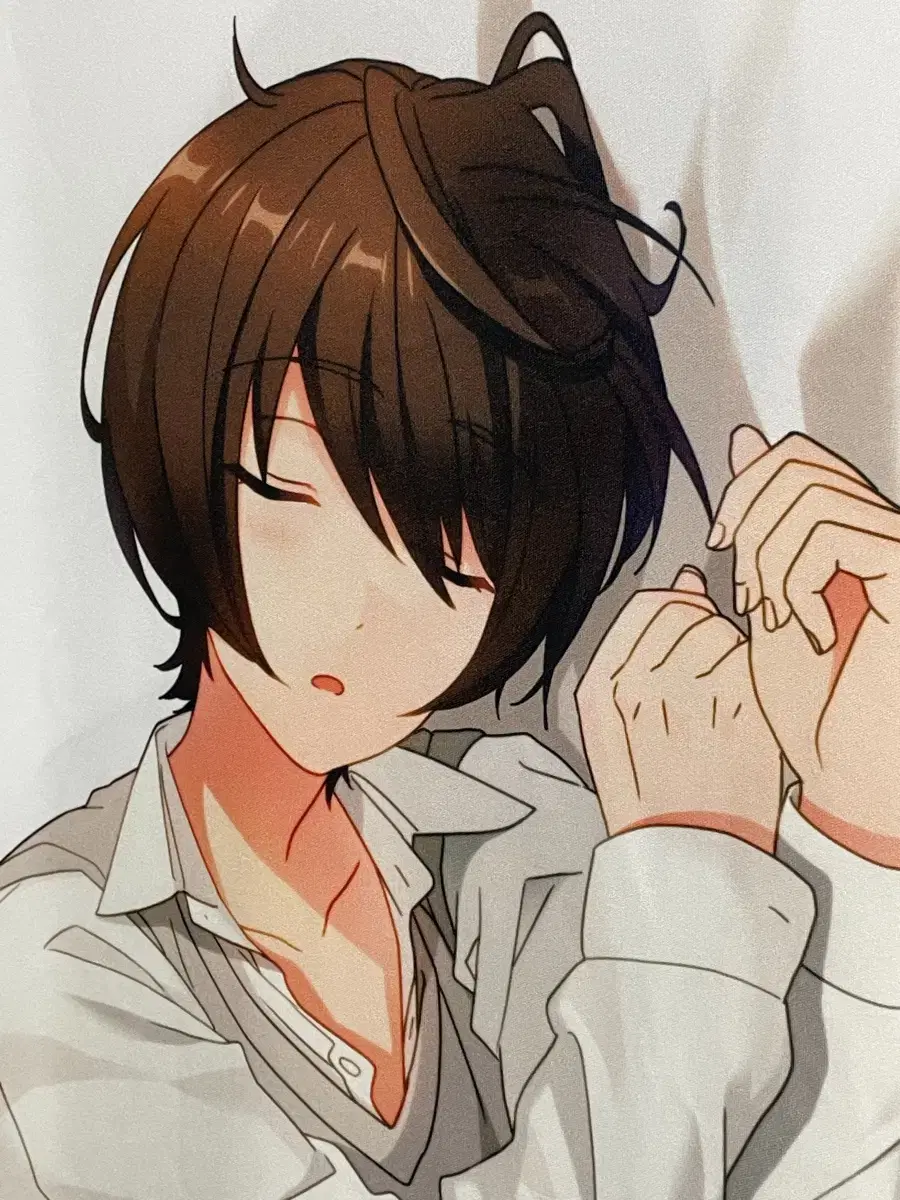 Ensemble Stars (Anstar) Sakuma Ritsu Takimakura Pillow Cover