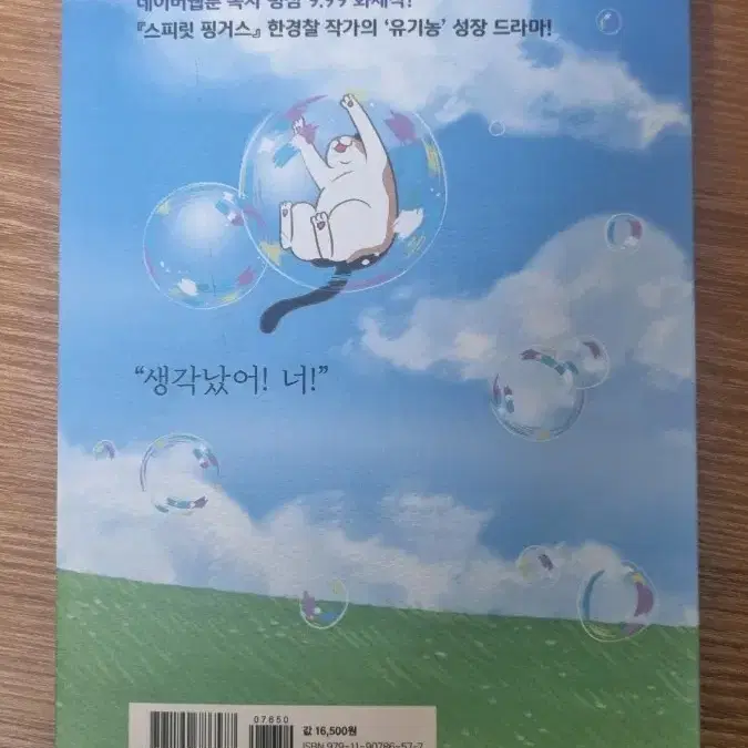 한경찰 썸머 브리즈 책