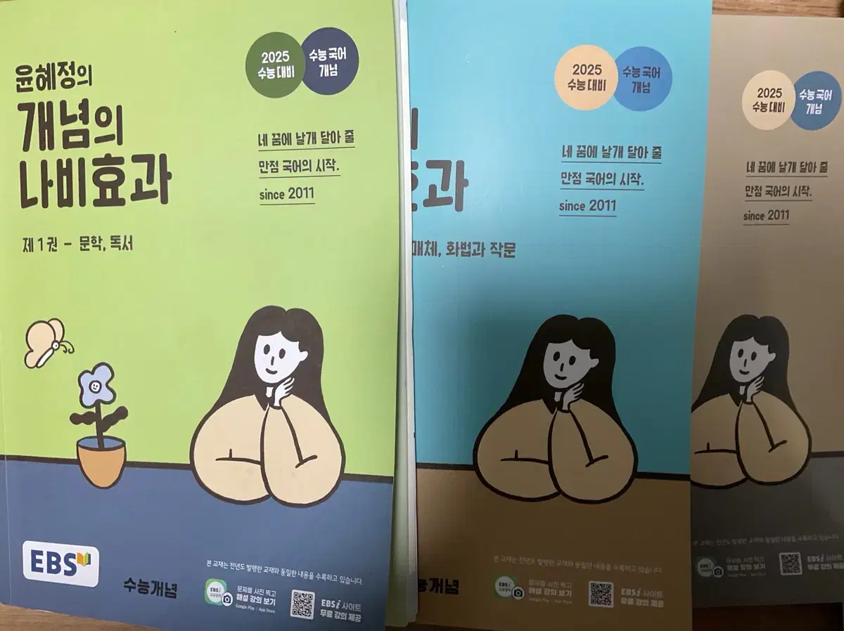 윤혜정 개념나비