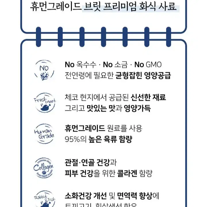 대용량 강아지 화식(강아지 습식 사료 800g)