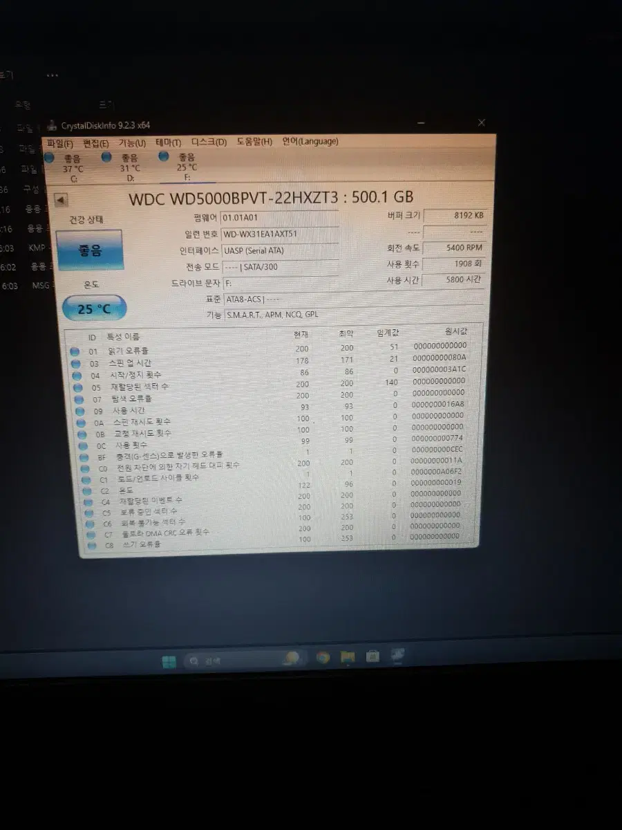 wd 외장하드 500기가