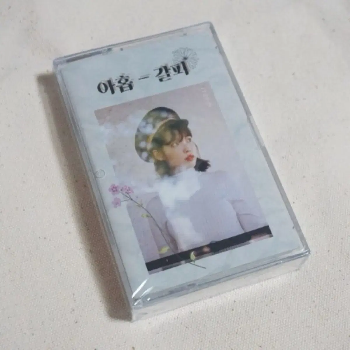 [unsealed] iu 9th anniversary fanmeeting nine-pin tape