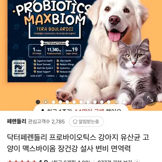 닥터페렌들리 프로바이오틱스 강아지 유산균 고양이 맥스바이옴 장건강 설사