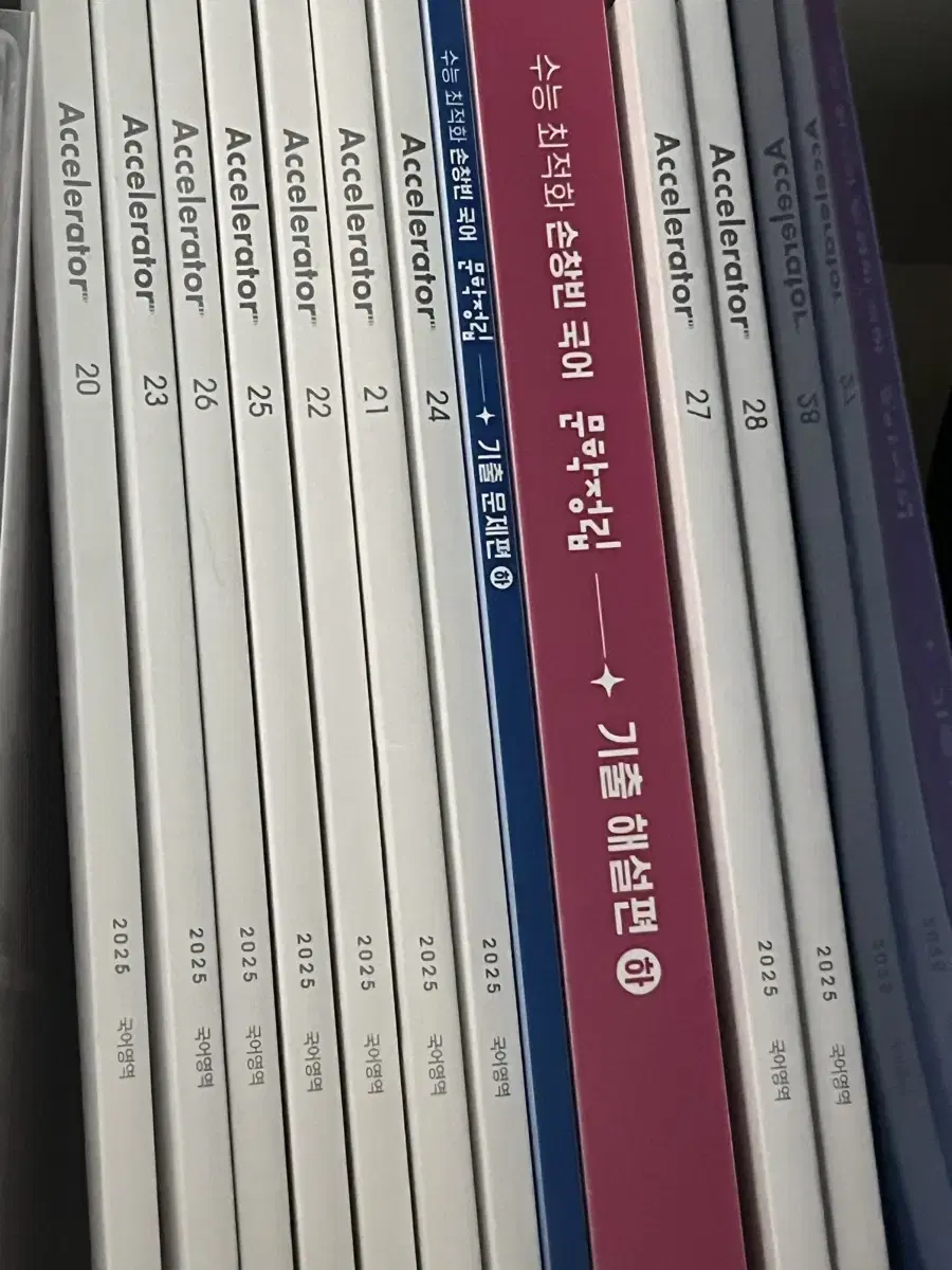 2025 엑셀러레이터 국어 20~28 시대인재 국어 주간지