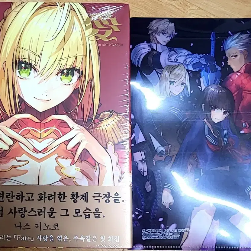 와다 아루코 화집 FATE ART WORKS 초판 펀딩