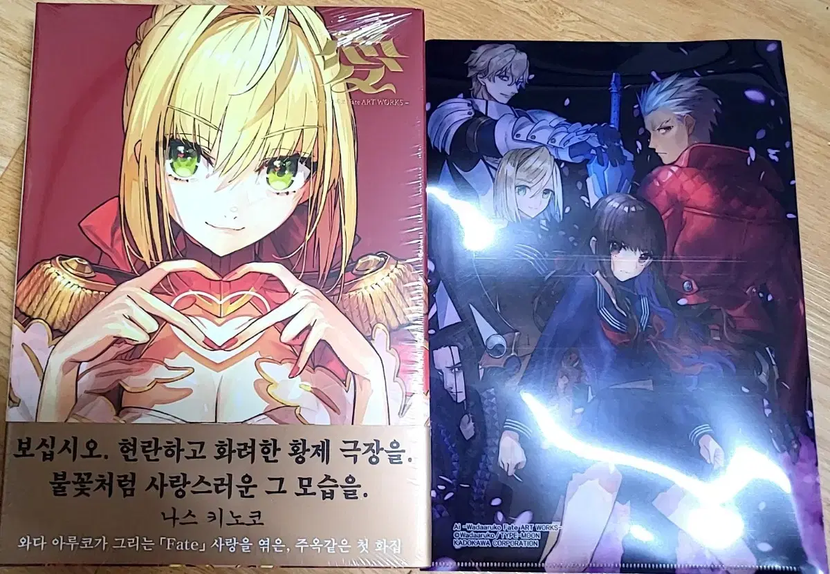 와다 아루코 화집 FATE ART WORKS 초판 펀딩