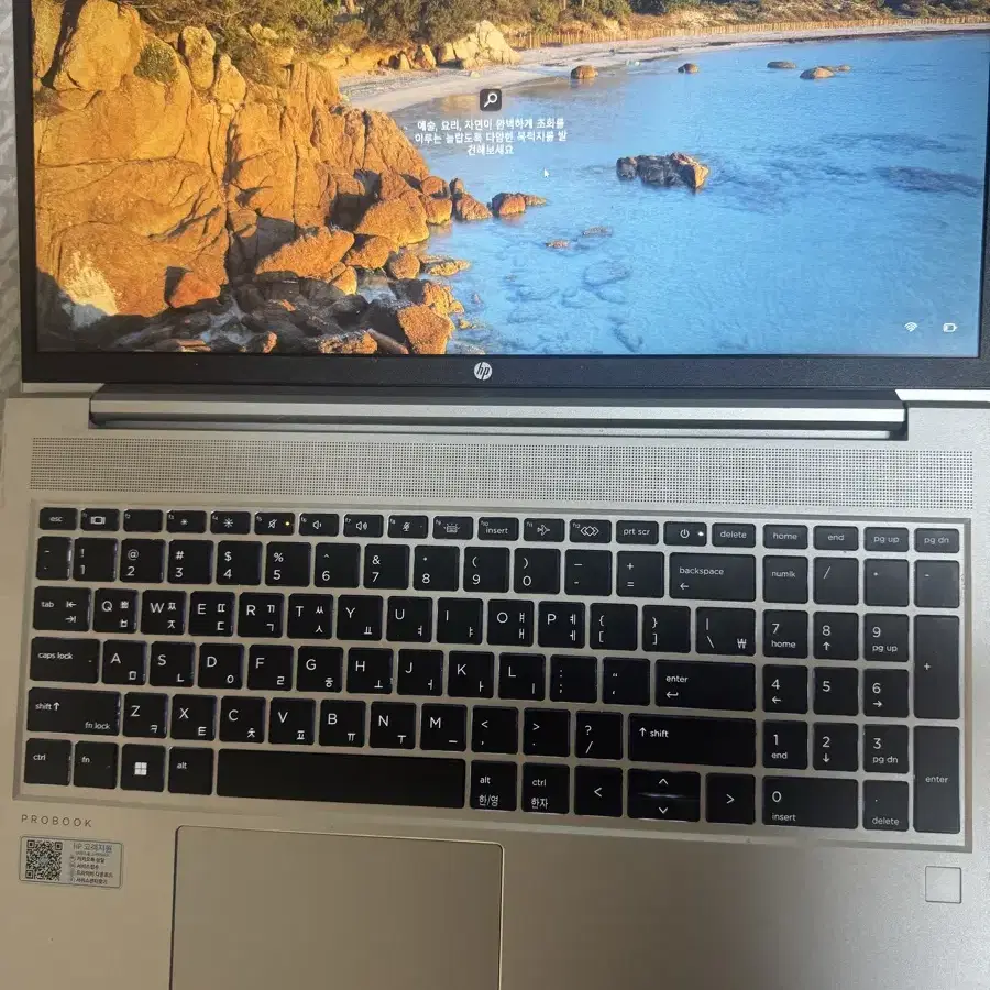 Hp probook 455 g9