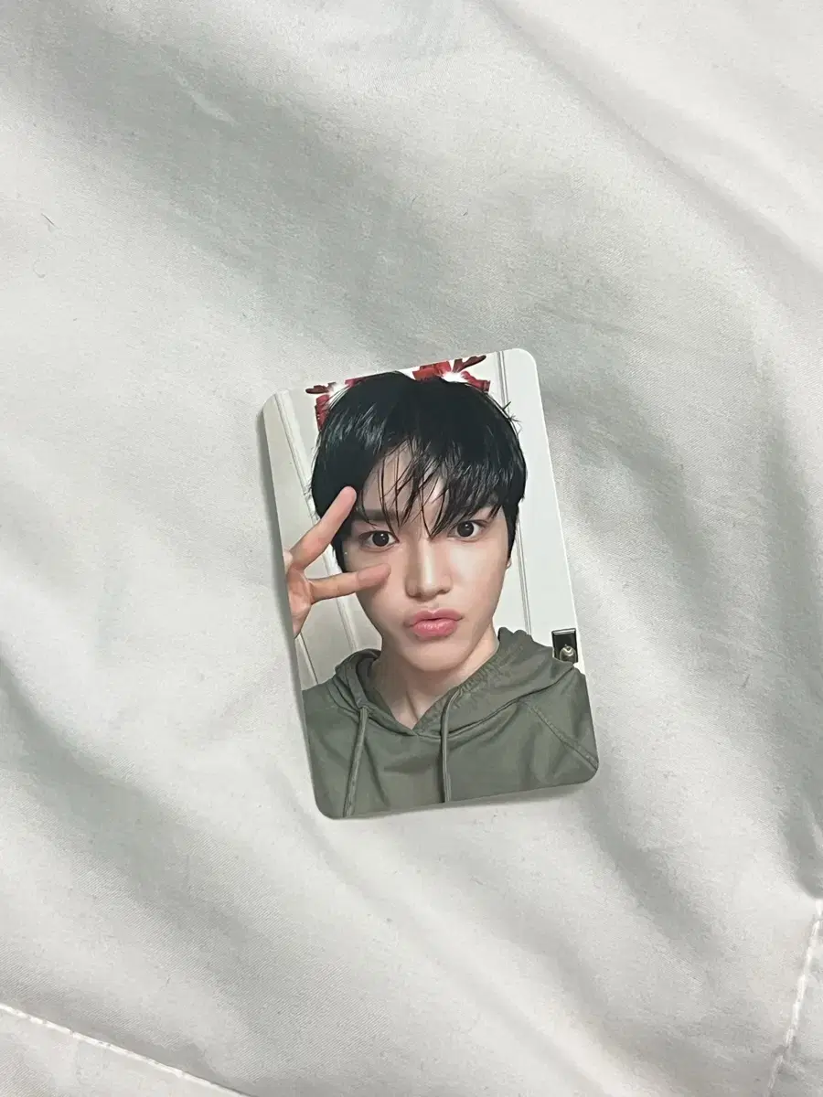 2024 Pink Christmas taeyong photocard