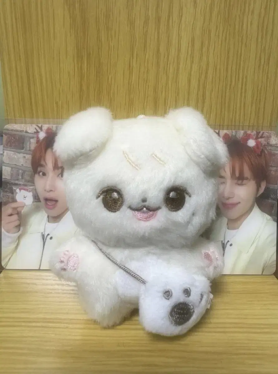 NCT jungwoo doll wts