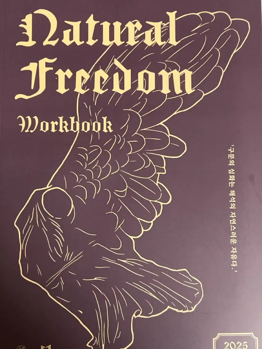 대성마이맥 영어 인강 교재 션티 natural freedom 새책