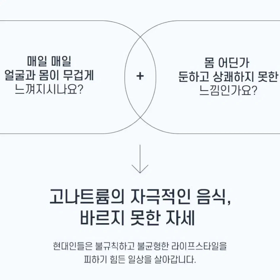 뉴베러 내몸다운 비채수