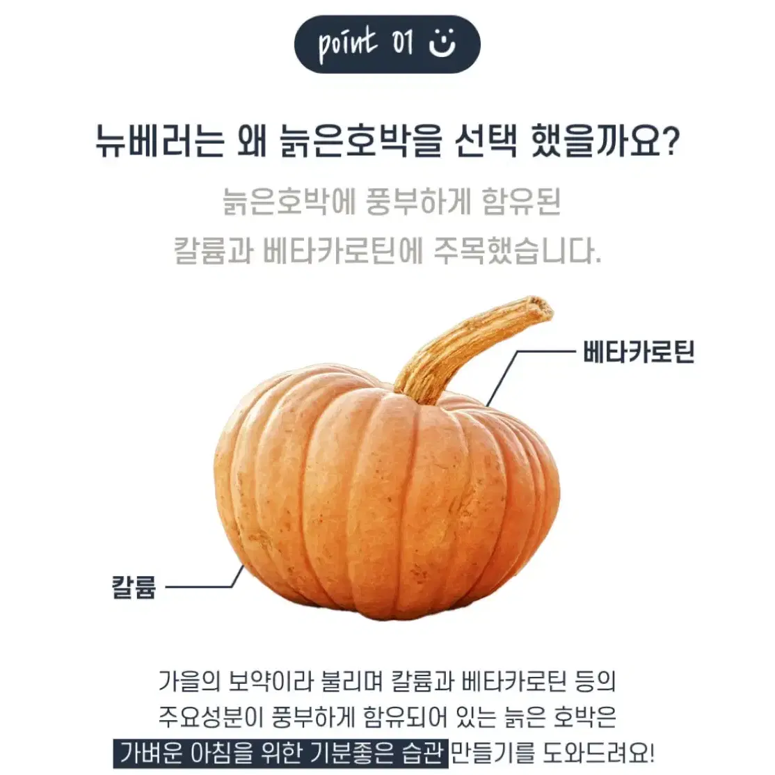 뉴베러 내몸다운 비채수