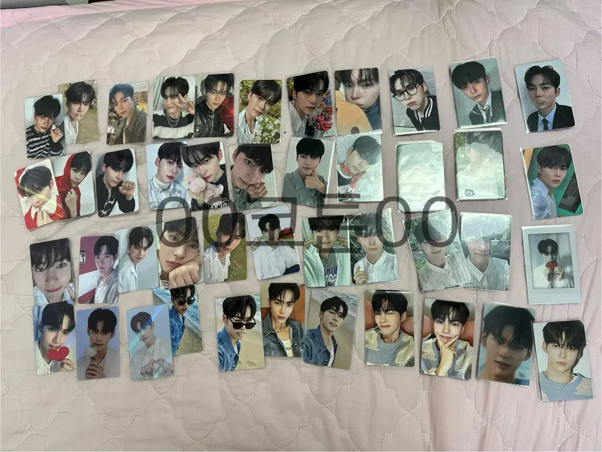 Zerobaseone photocard sells in bulk zb1 photocard poca