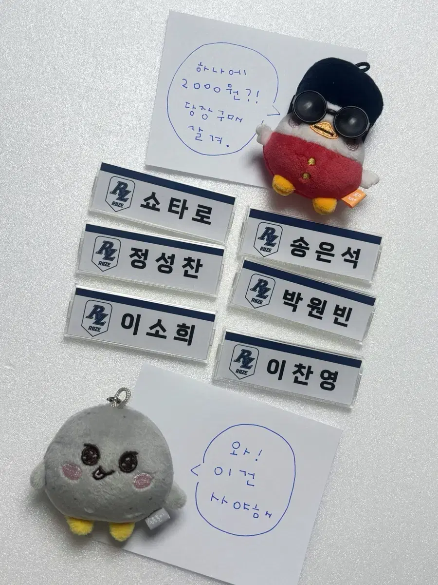 Today only 1500 won) riize Name badge sell / wonbinshotaroeunseoksungchansohee chanyoungton