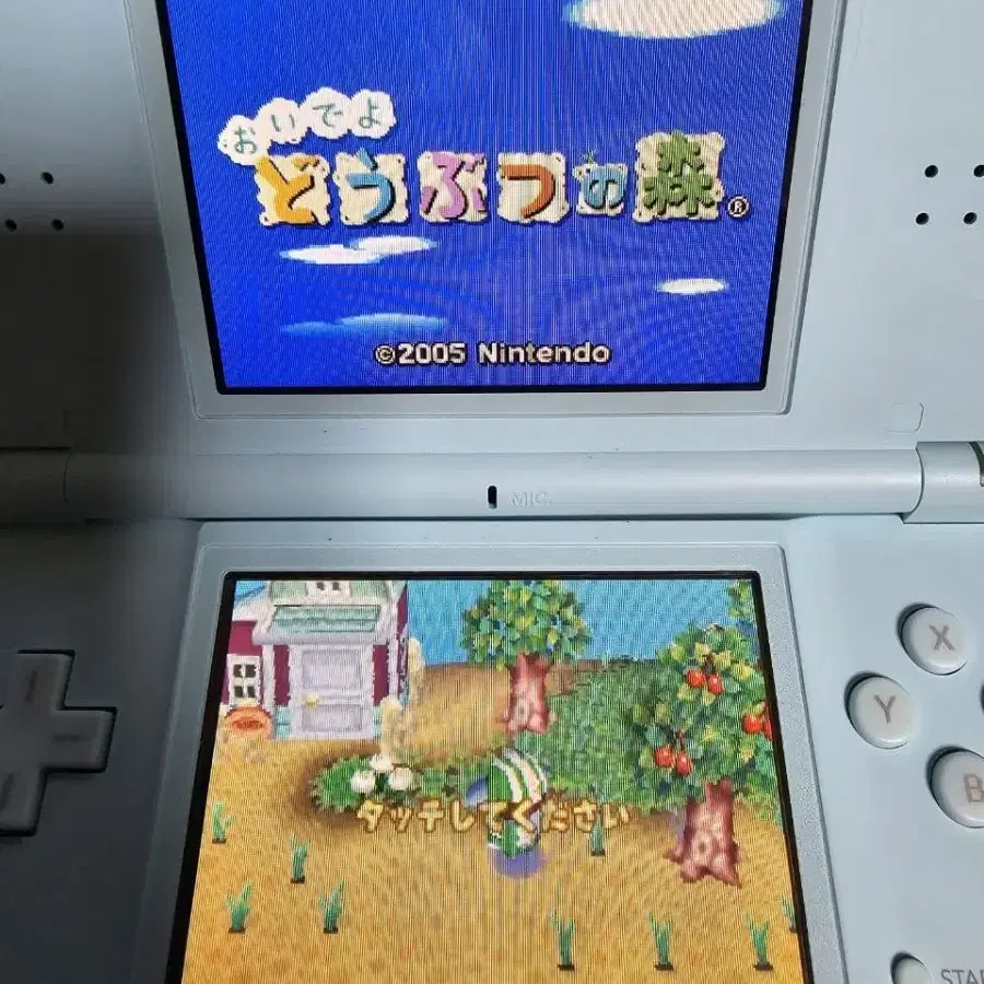 닌텐도 DS LITE  일판