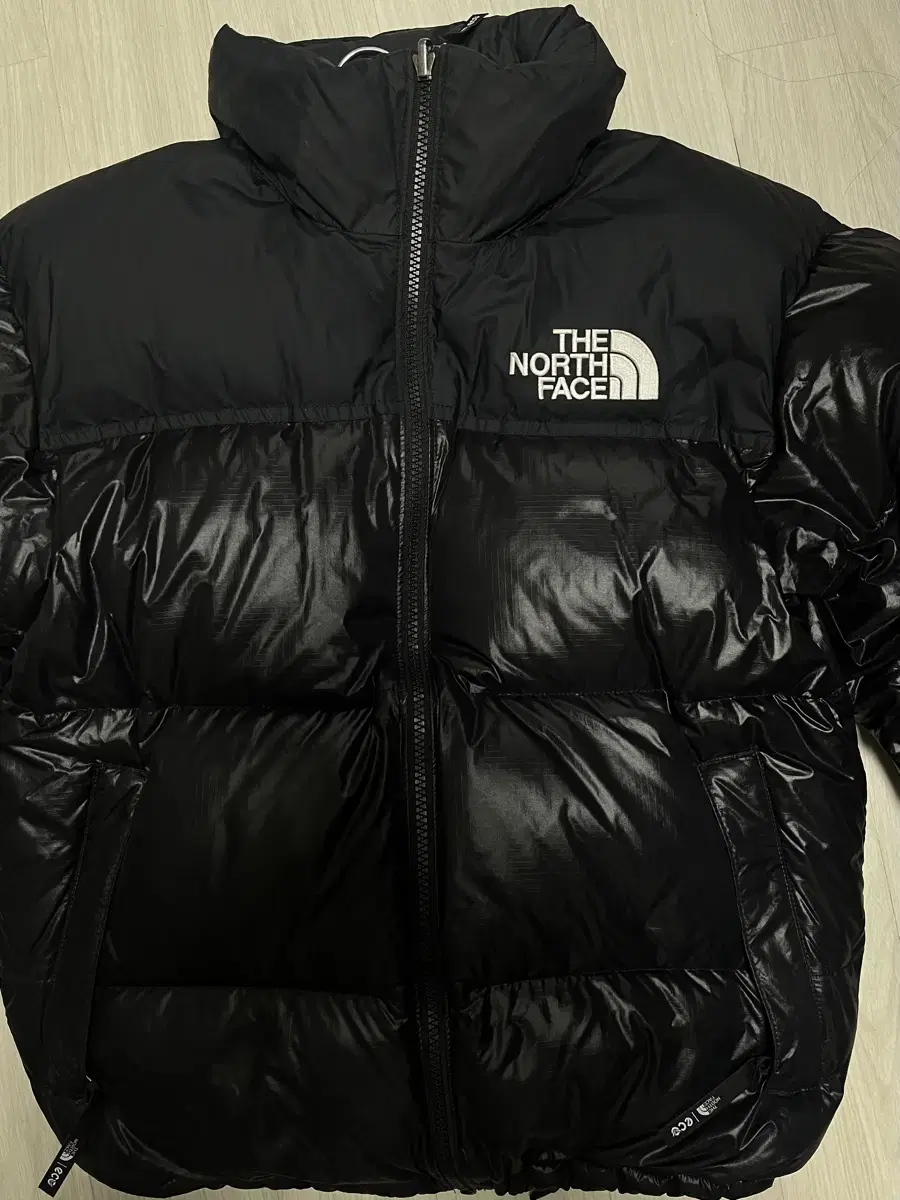 The North Face 1996 Echo Nopsi Glossy NJDP75C / 90(s)