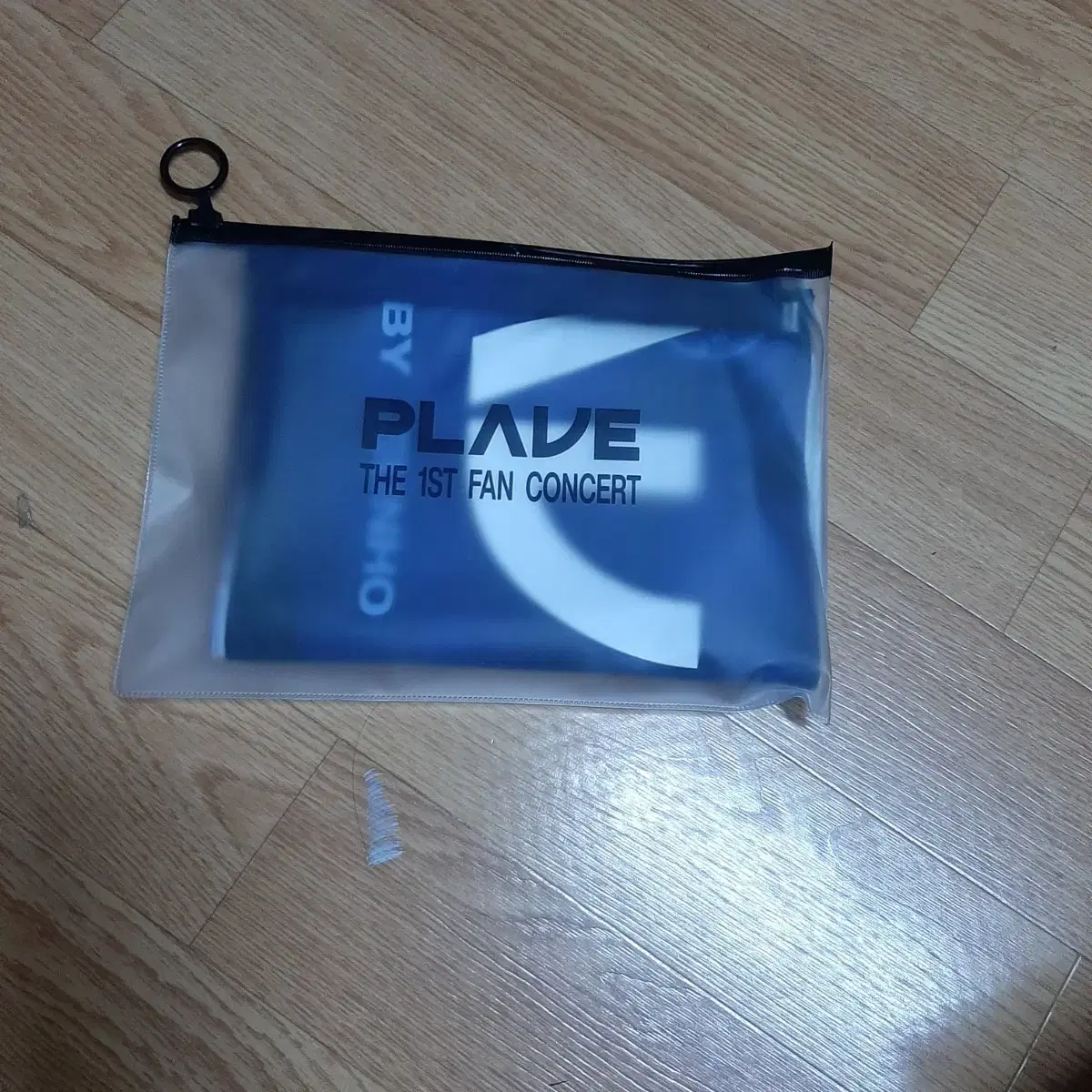 Plave fan con slogan