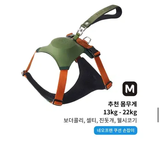 테일하이하네스m